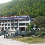 正山小种