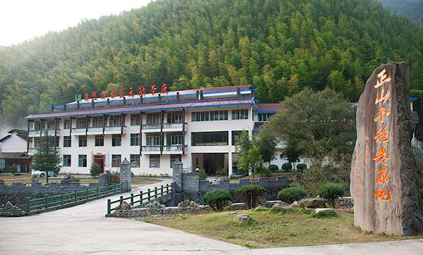 正山小种